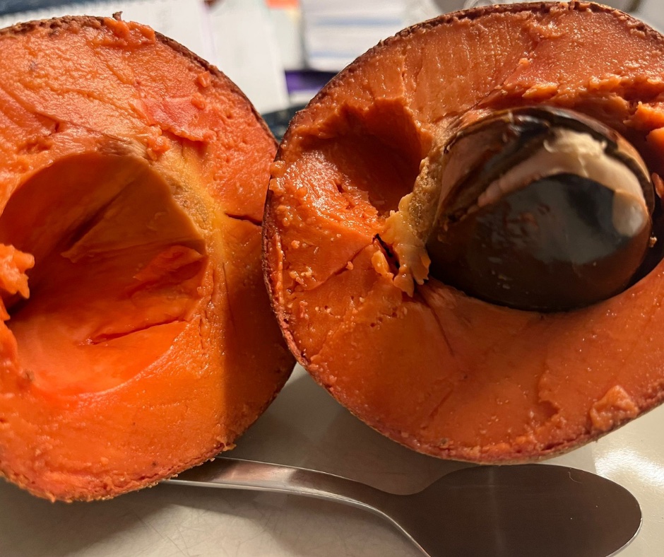 mamey sapote jak se ji